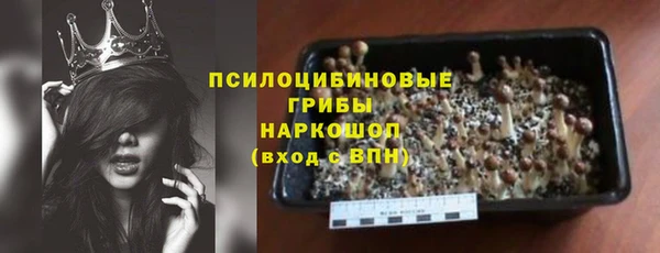 шишки Гусев
