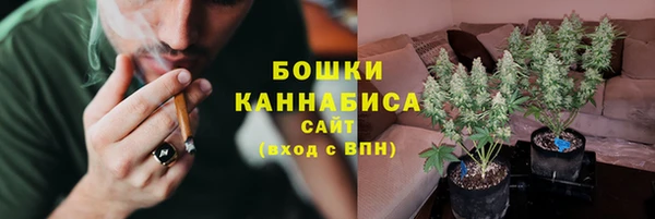 шишки Гусев
