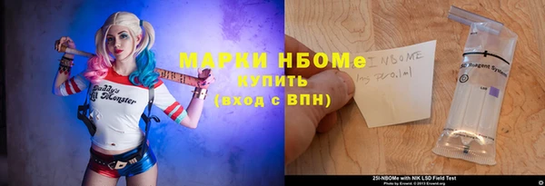 шишки Гусев