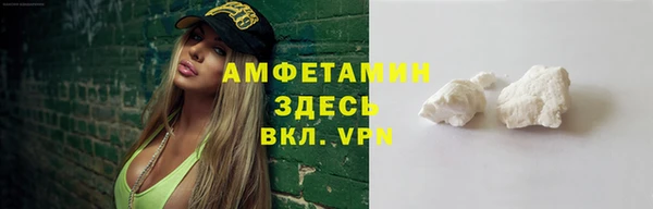 шишки Гусев