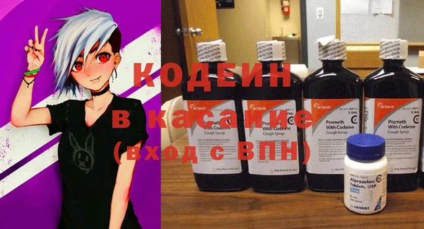 apvp Ельня