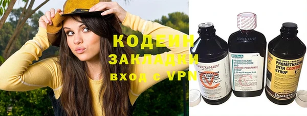 шишки Гусев