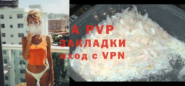 шишки Гусев