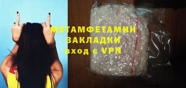 шишки Гусев