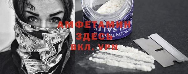 шишки Гусев