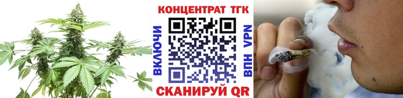 закладка  Духовщина  ТГК Wax 