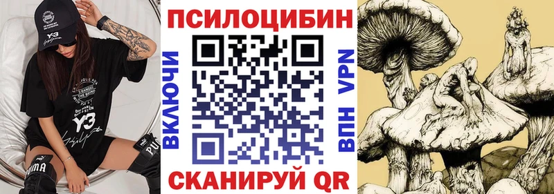 Псилоцибиновые грибы прущие грибы  Духовщина 
